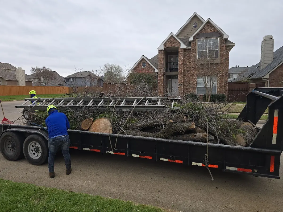 Expert Tree Fertilization with proper safety equipment in Walnut